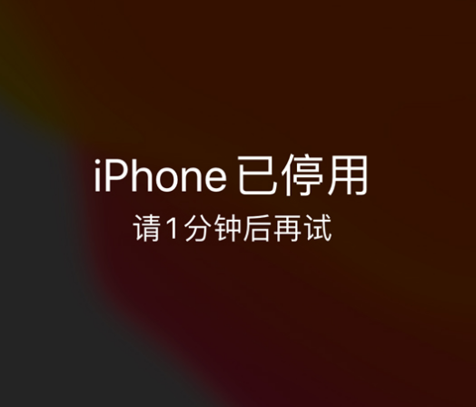 佳木斯苹果手机维修分享:iPhone 显示“不可用”或“已停用”怎么办？还能保留数据吗？ 