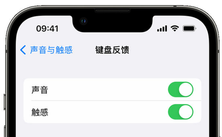 佳木斯苹果手机维修分享iPhone 14触感键盘使用方法 