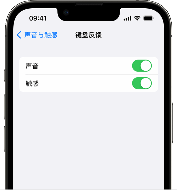 佳木斯苹果14维修店分享如何在 iPhone 14 机型中使用触感键盘 