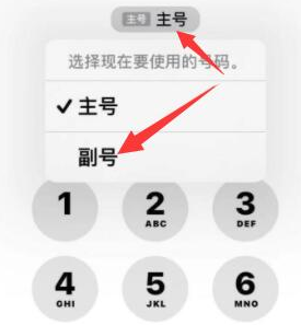 佳木斯苹果14维修店分享iPhone 14 Pro Max使用副卡打电话的方法 