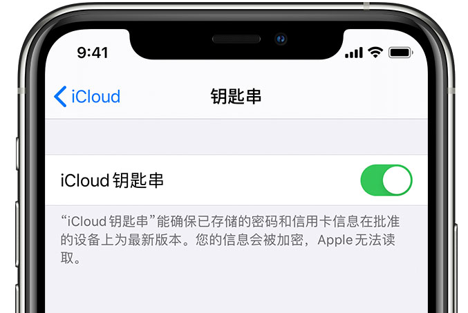 佳木斯苹果手机维修分享在 iPhone 上开启 iCloud 钥匙串之后会储存哪些信息 