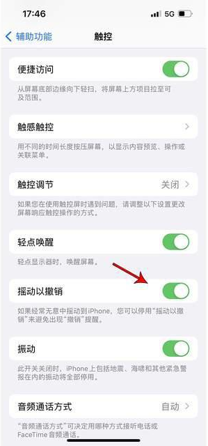 佳木斯苹果手机维修分享iPhone手机如何设置摇一摇删除文字 