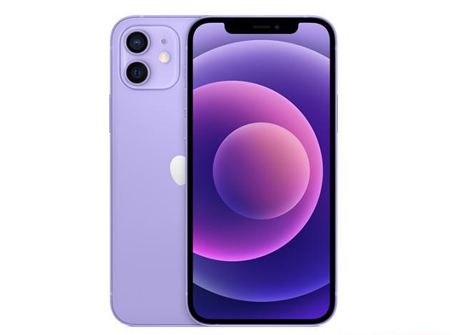 佳木斯苹果手机维修分享现阶段要不要入手紫色版iPhone12 